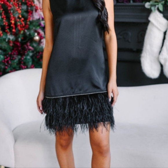 FINAL OFFER NEW Feather Rhinestone black dress shop mint julep boutique large - Picture 2 of 11